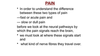 Comprehensive Overview of Pain Mechanisms, Analgesia, and Sensory ...