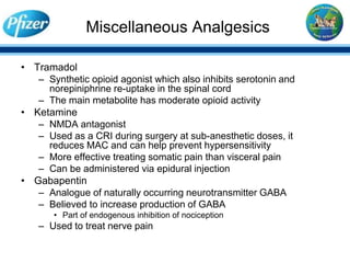 gabapentin gaba analogue