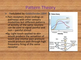 Pain and its pathway | PPTX