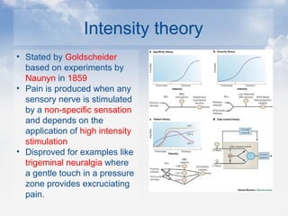 Intensity theory
• Stated by Goldscheider
based on experiments by
Naunyn in 1859
• Pain is produced when any
sensory nerve is stimulated
by a non-specific sensation
and depends on the
application of high intensity
stimulation
• Disproved for examples like
trigeminal neuralgia where
a gentle touch in a pressure
zone provides excruciating
pain.
 