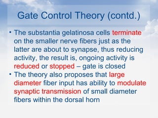 Gate Control Theory (contd.)
• The substantia gelatinosa cells terminate
on the smaller nerve fibers just as the
latter are about to synapse, thus reducing
activity, the result is, ongoing activity is
reduced or stopped – gate is closed
• The theory also proposes that large
diameter fiber input has ability to modulate
synaptic transmission of small diameter
fibers within the dorsal horn
 