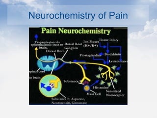 Neurochemistry of Pain
 