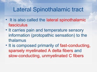 Lateral Spinothalamic tract
• It is also called the lateral spinothalamic
fasciculus
• It carries pain and temperature sensory
information (protopathic sensation) to the
thalamus
• It is composed primarily of fast-conducting,
sparsely myelinated A delta fibers and
slow-conducting, unmyelinated C fibers
 