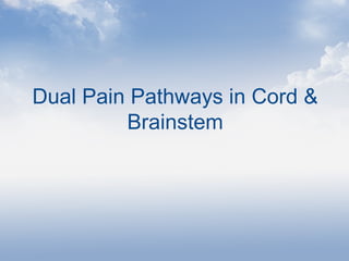 Dual Pain Pathways in Cord &
Brainstem
 