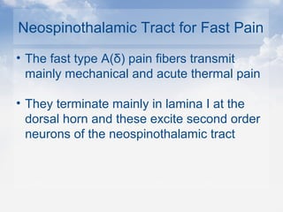 Neospinothalamic Tract for Fast Pain
• The fast type A(δ) pain fibers transmit
mainly mechanical and acute thermal pain
• They terminate mainly in lamina I at the
dorsal horn and these excite second order
neurons of the neospinothalamic tract
 