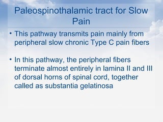 Paleospinothalamic tract for Slow
Pain
• This pathway transmits pain mainly from
peripheral slow chronic Type C pain fibers
• In this pathway, the peripheral fibers
terminate almost entirely in lamina II and III
of dorsal horns of spinal cord, together
called as substantia gelatinosa
 