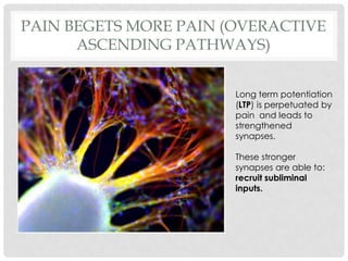 Pain and its treatment in psychiatric practice (2) (1) Slide 28