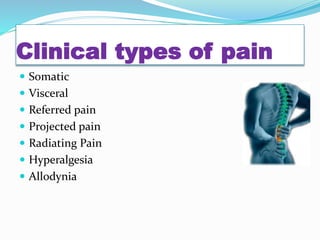 Clinical types of pain
 Somatic
 Visceral
 Referred pain
 Projected pain
 Radiating Pain
 Hyperalgesia
 Allodynia
 