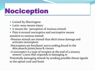 Nociception
 Coined by Sherrington
 Latin: noxa means injury
 it means the ´perception of noxious stimuli
 Pain is termed nociceptive and nociceptive means
sensitive to noxious stimuli
-Noxious stimuli are stimuli that elicit tissue damage and
activates nociceptors
-Nociceptors are free(bare) nerve ending,found in the
skin,muscle,joints,bone & viscera
-A nociceptor is a type of receptor at the end of a sensory
neuron´s axon that responds to damaging or
Potentially damaging stimuli by sending possible threat signals
to the spinal cord and brain
 