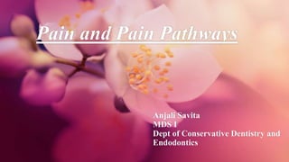 Pain and Pain Pathways
Anjali Savita
MDS I
Dept of Conservative Dentistry and
Endodontics
 