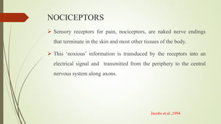 NOCICEPTORS
 Sensory receptors for pain, nociceptors, are naked nerve endings
that terminate in the skin and most other tissues of the body.
 This ‘noxious’ information is transduced by the receptors into an
electrical signal and transmitted from the periphery to the central
nervous system along axons.
Jacobs et al.,1994
 