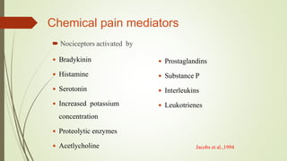 Chemical pain mediators
 Nociceptors activated by
 Bradykinin
 Histamine
 Serotonin
 Increased potassium
concentration
 Proteolytic enzymes
 Acetlycholine
 Prostaglandins
 Substance P
 Interleukins
 Leukotrienes
Jacobs et al.,1994
 