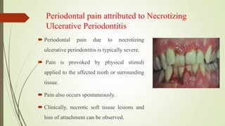 Periodontal pain attributed to Necrotizing
Ulcerative Periodontitis
 Periodontal pain due to necrotizing
ulcerative periodontitis is typically severe.
 Pain is provoked by physical stimuli
applied to the affected tooth or surrounding
tissue.
 Pain also occurs spontaneously.
 Clinically, necrotic soft tissue lesions and
loss of attachment can be observed.
 