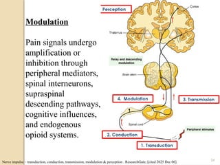 Supraspinal Modulation Comprehensive Overview of Pain Mechanisms and Neural Pathways in Oral ...
