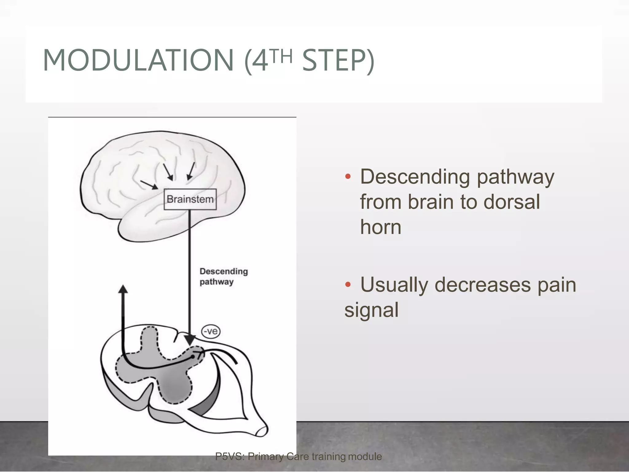 Fourth Hurt pain as 5th VS.ppt