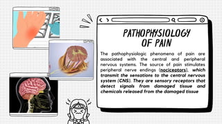 The pathophysiologic phenomena of pain are
associated with the central and peripheral
nervous systems. The source of pain stimulates
peripheral nerve endings (nociceptors), which
transmit the sensations to the central nervous
system (CNS). They are sensory receptors that
detect signals from damaged tissue and
chemicals released from the damaged tissue
PATHOPHYSIOLOGY
OF PAIN
 