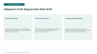 ADIPOSE-DERIVED CELLS
Adipocytes & the Regenerative Role of Fat
Beyond Energy Storage
Mature adipocytes and adipose stroma secrete cytokines,
adipokines, and growth factors that actively influence local
inflammation and joint biology.
A Rich Autologous Source
Adipose tissue yields a substantially higher concentration of
stromal and progenitor cells per millilitre than bone
marrow, via a simple lipoaspirate.
The Adipose-to-Biologic Pipeline
Raw lipoaspirate can be processed toward nanofat
(mechanical) or SVF (enzymatic) depending on the desired
cellular concentration and regulatory pathway.
Dr. Smrutirekha Hota | MD, FIPP, CIPS, EDPM, FIPM | Fellow Teaching Session 22
 