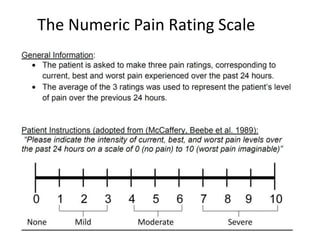 Numeric Pain Scale Explained Pdf assessment and physiotherapy management of pain in elderly | PPTX