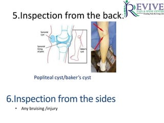 Pain Clinic Evaluation - History and Examination | PPTX