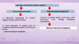Comprehensive Overview of the Pain Control System and Endogenous ...