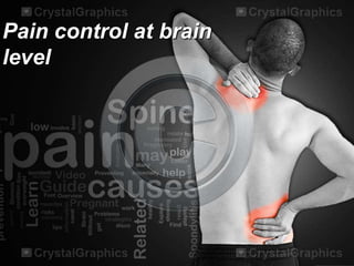 Pain control at brain
level

 