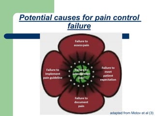 Potential causes for pain control
failure
adapted from Motov et al (3)
 
