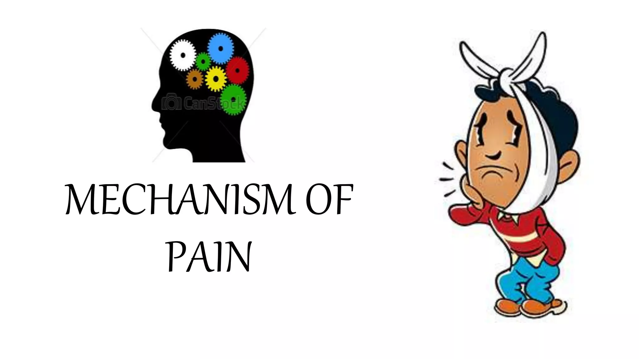 Pain control in endodontics | PPT