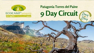 Patagonia Torres del Paine
9 Day Circuit DayBY
Day
 