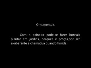 Ornamentais
Com a paineira pode-se fazer bonsais
plantar em jardins, parques e praças,por ser
exuberante e chamativa quando florida.

 