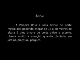 Árvore
A Paineira Rosa é uma árvore de porte
médio alto podendo chegar de 12 á 20 metros de
altura é uma árvore de porte altivo e esbelto,
chama muito a atenção quando plantada em
jardins, praças ou parques.

 