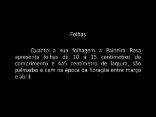 Folhas

Quanto a sua folhagem a Paineira Rosa
apresenta folhas de 10 á 15 centímetros de
comprimento e 4á5 centímetro de largura, são
palmadas e cem na época da floração entre março
e abril.

 