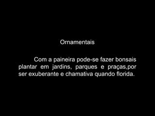 Ornamentais
Com a paineira pode-se fazer bonsais
plantar em jardins, parques e praças,por
ser exuberante e chamativa quando florida.

 