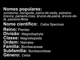 Nomes populares:
sumaúma, barriguda, paina-de-seda, paineirabranca, paineira-rosa, árvore-de-paina, árvore-delã, paineira-fême

Nome cientifico: Ceiba Speciosa
Reino: Plantae
Divisão: Magnoliophyta
Classe: Magnoliopsida
Ordem: Malvales
Família: Bombacaceae
Subfamília: Bombacoideae
Género: Ceiba

 