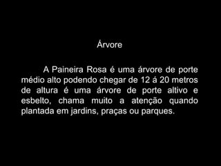 Árvore
A Paineira Rosa é uma árvore de porte
médio alto podendo chegar de 12 á 20 metros
de altura é uma árvore de porte altivo e
esbelto, chama muito a atenção quando
plantada em jardins, praças ou parques.

 