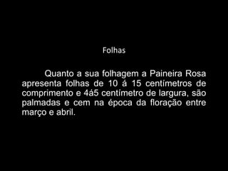 Folhas
Quanto a sua folhagem a Paineira Rosa
apresenta folhas de 10 á 15 centímetros de
comprimento e 4á5 centímetro de largura, são
palmadas e cem na época da floração entre
março e abril.

 
