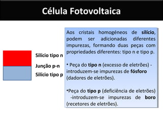 Célula Fotovoltaica

Silício tipo n

Aos cristais homogéneos de silício,
Aos cristais homogéneos de silício,
podem ser adicionadas diferentes
podem ser adicionadas diferentes
impurezas, formando duas peças com
impurezas, formando duas peças com
propriedades diferentes: tipo n e tipo p.
propriedades diferentes: tipo n e tipo p.

••Peça do tipo n (excesso de eletrões) -Peça do tipo n (excesso de eletrões)
introduzem-se impurezas de fósforo
introduzem-se impurezas de fósforo
Silício tipo p
(dadores de eletrões).
(dadores de eletrões).
Junção p-n

••Peçado tipo p (deficiência de eletrões)
Peça do tipo p (deficiência de eletrões)
-introduzem-se impurezas de boro
-introduzem-se impurezas de boro
(recetores de eletrões).
(recetores de eletrões).

 