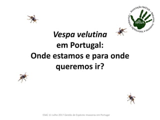 Vespa velutina
em Portugal:
Onde estamos e para onde
queremos ir?
ESAC 11 Julho 2017 Gestão de Espécies Invasoras em Portugal
 