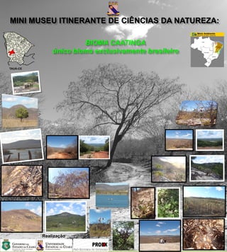 MINI MUSEU ITINERANTE DE CIÊNCIAS DA NATUREZA:

                       BIOMA CAATINGA
              único bioma exclusivamente brasileiro

TAUÁ-CE




          Realização
 