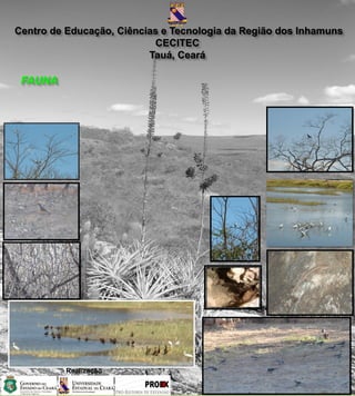 Centro de Educação, Ciências e Tecnologia da Região dos Inhamuns
                           CECITEC
                          Tauá, Ceará

 FAUNA




          Realização
 