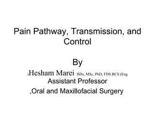 Pain Pathway, Transmission, and
Control
By
(

Hesham Marei

BDs, MSc, PhD, FDS RCS (Eng

Assistant Professor
,Oral and Maxillofacial Surgery

 