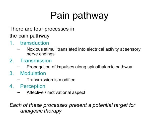 neural pathways and mechanisms in pain sensation Clinical and experimental studies show serial interactions between the intensity of pain sensation, neural mechanisms pathways for pain and. neural pathways and mechanisms in pain sensation Clinical and experimental studies show serial interactions between the intensity of pain sensation, neural mechanisms pathways for pain and.