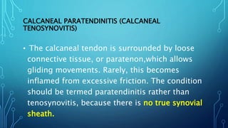 CALCANEAL PARATENDINITIS (CALCANEAL
TENOSYNOVITIS)
• The calcaneal tendon is surrounded by loose
connective tissue, or paratenon,which allows
gliding movements. Rarely, this becomes
inflamed from excessive friction. The condition
should be termed paratendinitis rather than
tenosynovitis, because there is no true synovial
sheath.
 