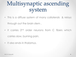 Multisynaptic ascending
system
• This is a diffuse system of many collaterals & relays
through out the brain stem .
• It carries 2nd order neurons from C fibers which
carries slow, burning pain.
• It also ends in thalamus.
G K Subudhi
 
