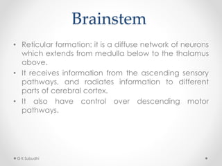 Brainstem
• Reticular formation: it is a diffuse network of neurons
which extends from medulla below to the thalamus
above.
• It receives information from the ascending sensory
pathways, and radiates information to different
parts of cerebral cortex.
• It also have control over descending motor
pathways.
G K Subudhi
 