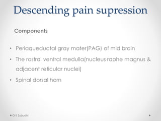Descending pain supression
Components
• Periaqueductal gray mater(PAG) of mid brain
• The rostral ventral medulla(nucleus raphe magnus &
adjacent reticular nuclei)
• Spinal dorsal horn
G K Subudhi
 