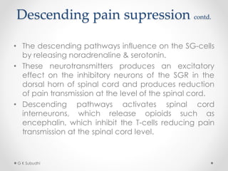 Descending pain supression contd.
• The descending pathways influence on the SG-cells
by releasing noradrenaline & serotonin.
• These neurotransmitters produces an excitatory
effect on the inhibitory neurons of the SGR in the
dorsal horn of spinal cord and produces reduction
of pain transmission at the level of the spinal cord.
• Descending pathways activates spinal cord
interneurons, which release opioids such as
encephalin, which inhibit the T-cells reducing pain
transmission at the spinal cord level.
G K Subudhi
 