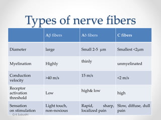 Types of nerve fibers
Aβ fibers Aδ fibers C fibers
Diameter large Small 2-5 μm Smallest <2μm
Myelination Highly
thinly
unmyelinated
Conduction
velocity
>40 m/s
15 m/s
<2 m/s
Receptor
activation
threshold
Low
high& low
high
Sensation
on stimulation
Light touch,
non-noxious
Rapid, sharp,
localized pain
Slow, diffuse, dull
pain
G K Subudhi
 
