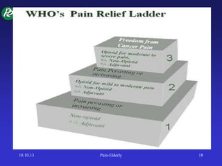 18.10.13 Pain-Elderly 18
 