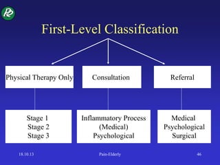 First-Level Classification
Physical Therapy Only Consultation Referral
Stage 1
Stage 2
Stage 3
Inflammatory Process
(Medical)
Psychological
Medical
Psychological
Surgical
18.10.13 Pain-Elderly 46
 
