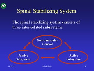 Spinal Stabilizing System
The spinal stabilizing system consists of
three inter-related subsystems:
Neuromuscular
Control
Passive
Subsystem
Active
Subsystem
18.10.13 Pain-Elderly 59
 